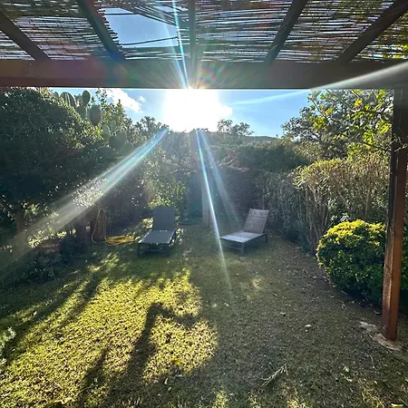 Mini-villa Acces De Pinarello A Pieds Pinarellu (Corsica)